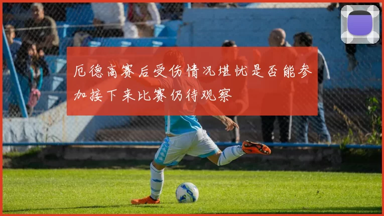 厄德高赛后受伤情况堪忧是否能参加接下来比赛仍待观察