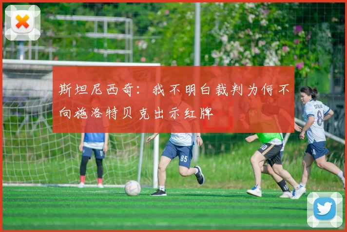 斯坦尼西奇：我不明白裁判为何不向施洛特贝克出示红牌